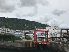 そうこうしているうちに…
あっという間に金谷港に到着！