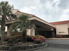 鮪屋さんからの帰りは上り坂。
ゆっくりと歩いて伊豆高原駅前まで戻り、ホテルのシャトルバスに乗って１０分ほどで、今夜の宿エクシブ伊豆に到着です。
このホテルのお風呂は温泉なので、いつもそれを楽しみに泊まりに来ます。
