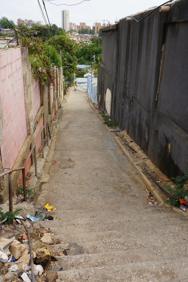 どうぶつの頭蓋骨。。