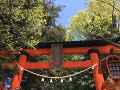 ＜新倉富士浅間神社　鳥居＞
　小室浅間神社から､「新倉富士浅間神社」までは１０分ほどですが、ナビがまた訳の分からないルートを示したため、なかなかたどり着けず、結局、少し離れた「大正寺」さんの駐車場に駐めさせていただきました。
　テク テク、歩くこと５分で､鳥居に到着。　時刻は、１１時１０分。