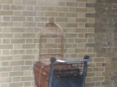 ハリポタ、ほとんど見ていないのでこれが何なのかわかりませんが、記念撮影をしたい人が50人くらい並んでいました。