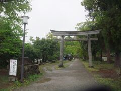 　私たちは登りと同じ道を通って、下りにも２０分かけてゆっくりと車の所へ下山したのだった。
　見えているのは幕末の大野藩主「土井利忠公」が祀られている柳廼社の鳥居だ。私たちはこの奥にある「大野市民俗資料館」に行こうとしているのだ。