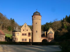 メスペルブルン城
Schloss Mespelbrunn

周りを森に囲まれ、城の前には池があり、メルヘンが漂うインスタ映えのする小さい可愛い城。１５世紀に建てられた城を基礎に16世紀半ばに拡張、今日の姿になった。