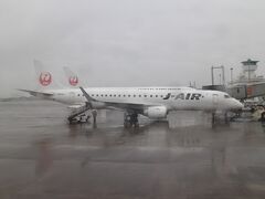 鹿児島空港もかなり強い雨、それでも、ほぼ定刻で到着。
となりのスポットはエンブラエル190、伊丹行かな？