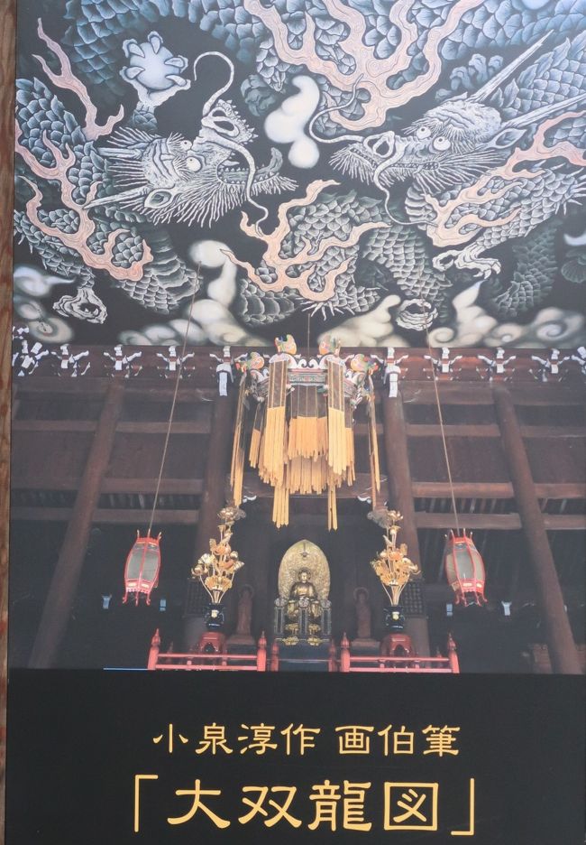 京都平成15 建仁寺c 法堂天井画『双龍図』拝観 ☆畳108畳分-巨大