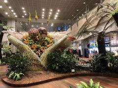 シンガポール チャンギ国際空港 (SIN)