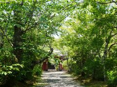 近くの常照寺にもお参り。
こちらも青が美しい♪