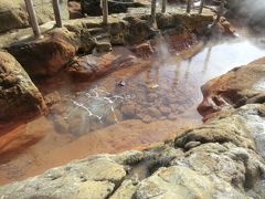 ちなみに、今の時間は干潮です。
鉄分の多い茶褐色の温泉なのですが、干潮時の湯の色は無色透明ですね。
この湯は、神経痛や冷え症に効能があり、別名｢内科の湯｣と呼ばれています。
