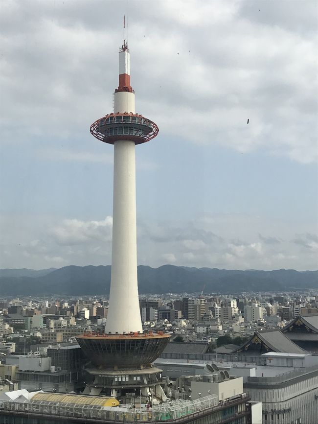 朝です。雨降ってない。よかったです。