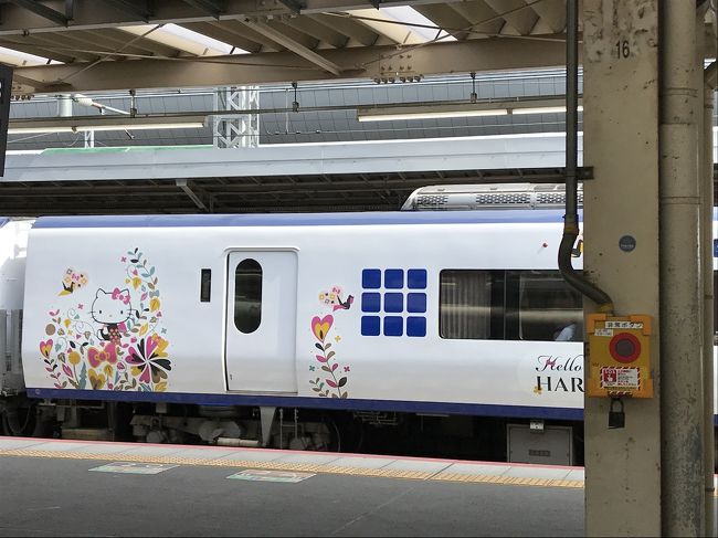 隣のホームにとまっていた、キティちゃんの電車です。