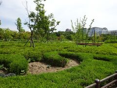 今日のイチバンの目的地は仁寺洞（インサドン）

でもソウルはお店が開くのが遅いので、その前に世界遺産『宗廟（チョンミョ）』を見学することに。

鐘路3街駅から少し歩いたら大きな公園が見えてきました。