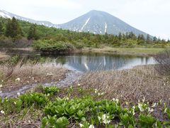 水芭蕉が咲いていました。
地元の方に猿倉温泉の道も満開だと教えてもらいました。