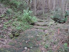 事前の調べでは「標高差もあまりなく湯坂路と呼ばれる石畳をのんびり歩けるコース」と出ていたのだが、芦之湯から飛竜ノ滝に向かう道、それから畑宿に出る道は体力削られます。

この石畳だから～は油断できません
