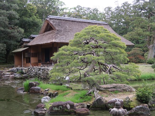 京都平成31 桂離宮a 御幸門-外腰掛-松琴亭 ☆蘇鉄山/天の橋立