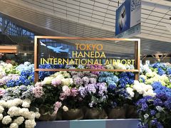 羽田空港は紫陽花まつりです。
ポーランドに行くにあたり、今回はエアチャイナを選択しました。最初はポーランドエアの直行便を考えていましたが、航空券が半額で済むのと、羽田発に惹かれて乗り継ぎ便にしてみました。