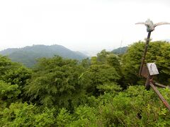 六甲山はすずし～。山下はあつかったのに山上はぐっと涼しくなります。知ってたらもう一枚上着持ってきたのに・・・