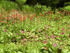 六甲高山植物園へ