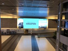 シンガポール チャンギ国際空港 (SIN)