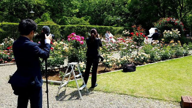 ハウステンボスで結婚式 彡 薔薇と憧れの馬車で ハウステンボス周辺 長崎県 の旅行記 ブログ By Yuka さん フォートラベル