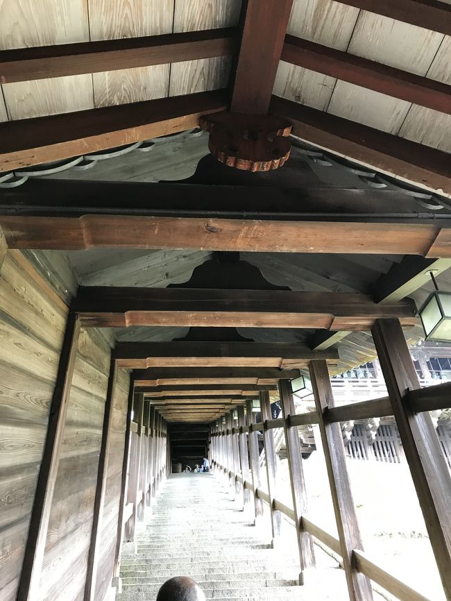 階段を上っていきます。高齢の母ですが、頑張って上ります。