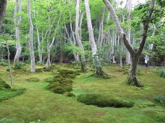 Ｒ１年　６月　１２日　水曜日　ＰＭ12：42　　祇王寺
拝観料は大覚寺と共通券で６００円

評価　2.8　苔だけの見物で規模が小さい。ただ秋は紅葉と苔で綺麗に成るでしょう。

駐車場は４台前に止められるがハイヤーが客待ちに止めてるので実質利用不可
