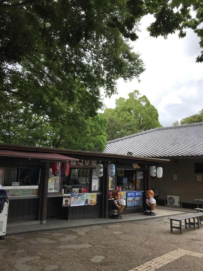 お店もあるんですね。駐車場の所のトイレに向かいます。トイレを出て、飲み物を飲みながら、休んでいると、ラッキーなことにぐるっとバスがきました。週末ではないので運行していないと思っていたのでラッキーです。春日大社へ向かってから県庁前へ行くそうです。