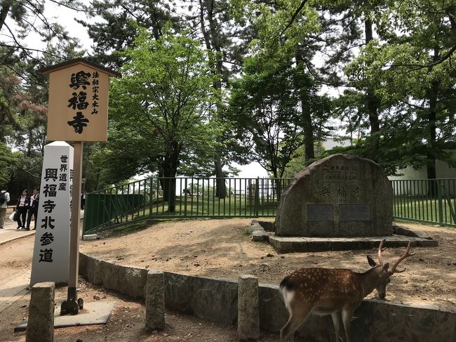 興福寺へ向かいます。