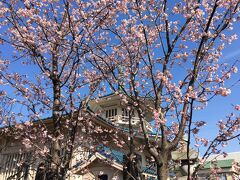 西福寺やあすか緑地を見た後、JR王子駅まで歩いて解散しました。
