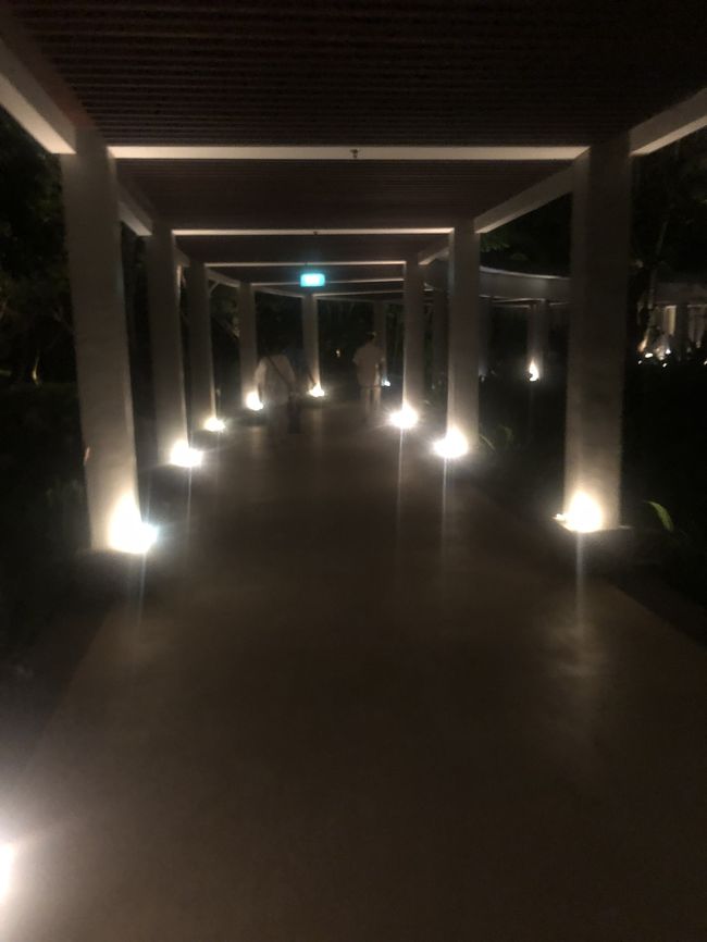 ロビーから降りて長い廊下を歩き、<br />こんなカートでレストランまで探検です。<br />