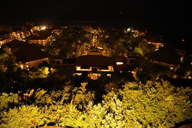 この景色がはるか下に見えます！！<br />というのも、ロビーは崖に建ってるとのことで<br />崖の下にも敷地が広がっており、