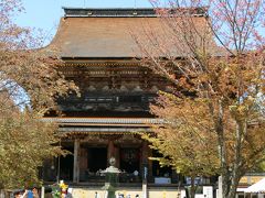 近鉄のチケットに蔵王堂特別拝観券がついていたので見学してきました。
秘仏本尊蔵王権現特別開帳の時期で見学ができました。しかも三方向を障子に囲まれたプライベートお参り付き！なのでゆっくり拝観できました。
また法話会の時間も重なって色々楽しめました。