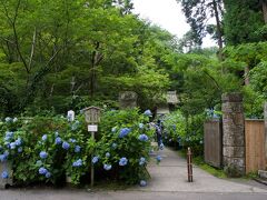 【鎌倉　明月院】
鎌倉のあじさい寺と呼ばれる北鎌倉の明月院に行ってきました。