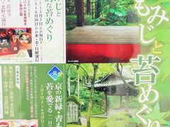 京都平成41　定観〔青もみじと苔めぐり〕    56/         56