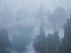 袁家界から天子山自然保護区へ移動するとものすごい霧。