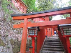 太鼓谷稲成神社の表参道。２６３段の石段に 約１０００の朱の鳥居がびっしりと並んでいます。