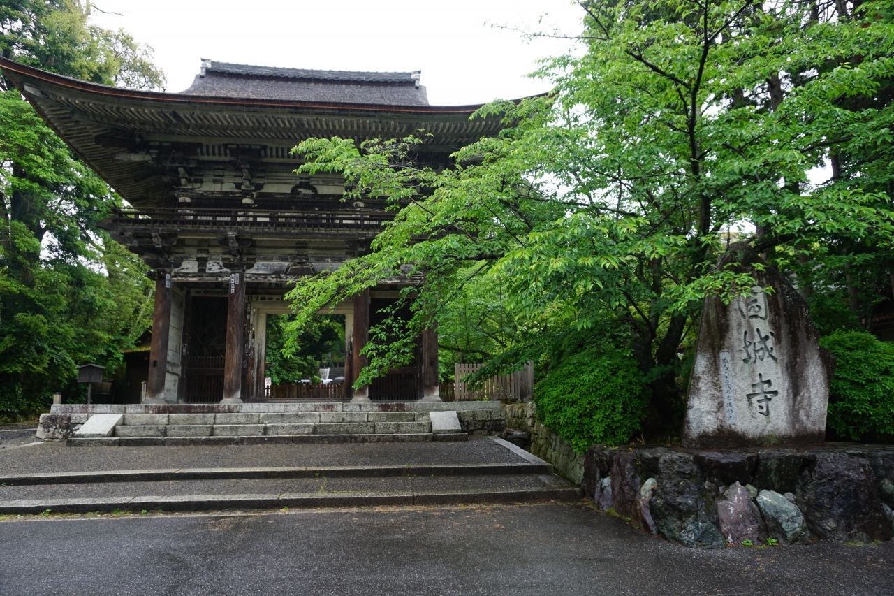 園城寺(三井寺)

大友皇子の息子、"与多王"が父の霊を弔うために創建されたのがはじまりと言われています。
その後平安時代になってから、智証大師円珍和尚が現在の形に整えられたとのこと。

正式名称は園城寺ですが、天智・天武・持統天皇と、三天皇の産湯に使われた霊泉が沸いていたことから三井寺と呼ばれるようになったそうです。

入口横には立派な山門。
仁王像が両脇でお寺を守っていらっしゃいます。

