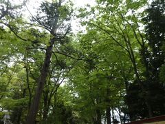 武蔵一宮氷川神社