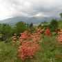 古希を過ぎて初めての清里（長野県側）