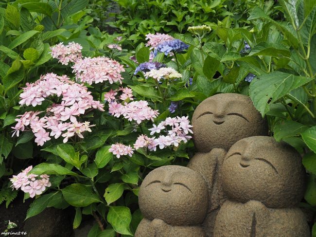 鎌倉紫陽花散歩 長谷寺 極楽寺 鎌倉 神奈川県 の旅行記 ブログ By Morino296さん フォートラベル