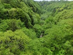 川俣川渓谷のトレッキングコースは、東沢大橋から吐竜の滝まであるそうですが、
展望台から少し降りてみましたが鬱蒼とし過ぎで怖いです。
