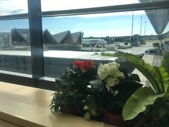 1時間ちょっとで、こちらも定刻どおり着陸！
リガは空港とっても小さくて、到着フロアにカフェや免税店など数軒あるのみであっさり出口に着いちゃった。

小さいけど、お花なども飾ってあって可愛らしい空港です。