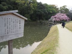 花葉の池へ。