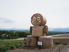 今年も会えた、四季彩の丘のロールちゃん。
まだ満開の花の時期ではないのに、すごくたくさんの観光客が来るので、ちょっと動揺してますって顔に、見えなくもない。