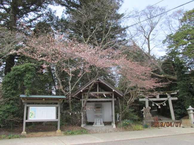 能登の春（３２）珠洲市の須須神社。