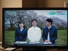 という事で、素敵な出会いがあった前日金曜日から、空けて土曜日盛岡の朝～でござります。
朝、岩手ローカルの情報番組は、桜の名所として名高い北上展勝地からの中継と完全花見シーズン突入モード。