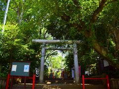 それ以外にも、沿線には閑静な住宅街と一緒に新緑眩しい神社や公園などが数多く存在しておりますので、合間に立ち寄っては気持ちのいい新緑風景を眺めつつぼけぇ～っと休憩する、今回は無理のないとても楽しい紫陽花散策が出来ました