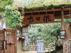 京都平成44　奥嵯峨c　　　33/　　　　32
