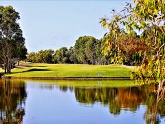 ハーフムーンゴルフ場；Halfmoon Bay  Golf Course

木々と芝生がきれいで、花、池が周辺に点在し、
野鳥観察の場として有名だそうで、行ってきました。ゴフファーの方も親切で
鳥が居るところ教えてくれました。