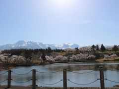 4月20日
ゴルフ場の中の、池に写る桜と妙高山が撮れる撮影スポット