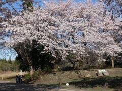 縄文公園